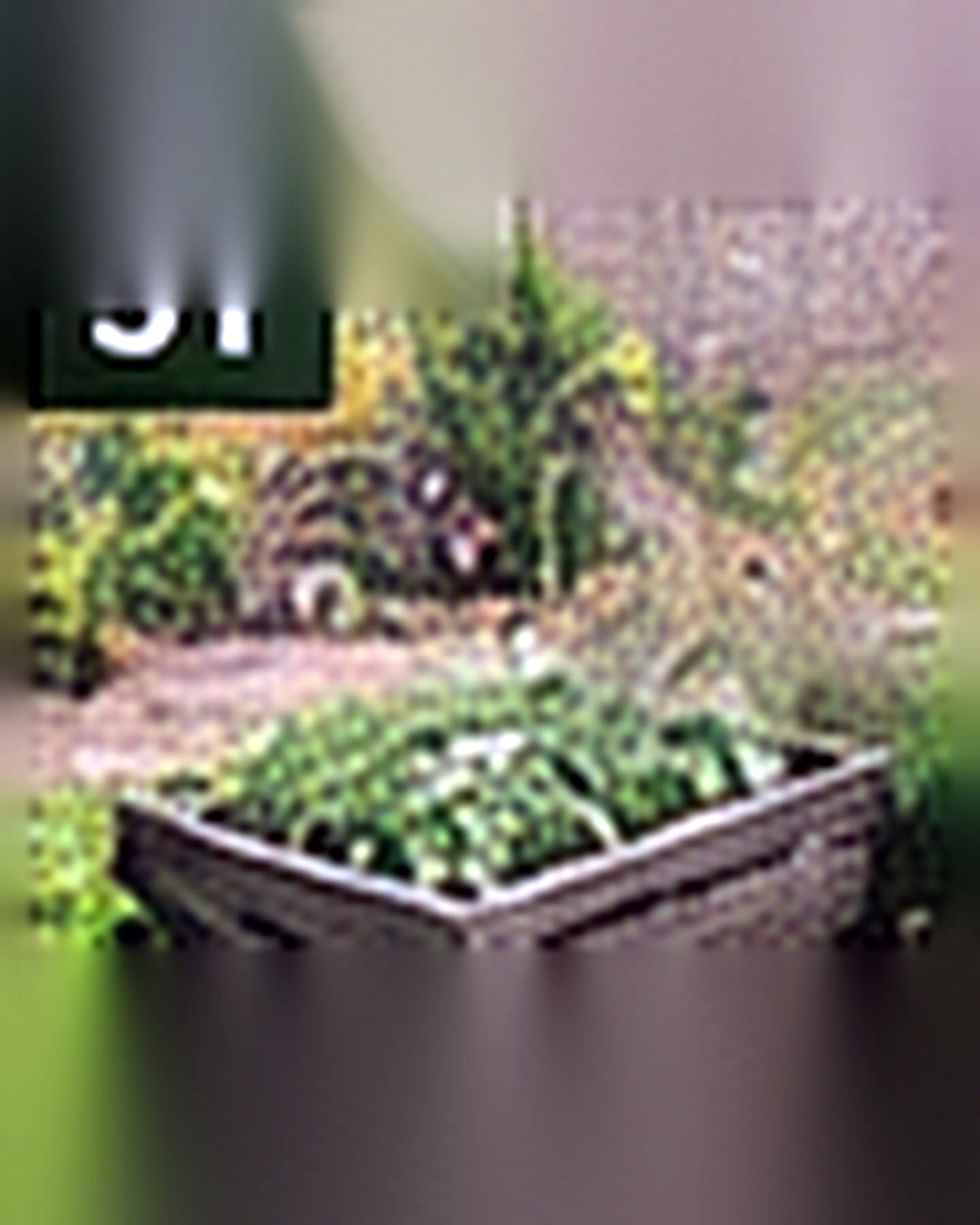 Before transformation: Food Waste to Backyard Compost System: Make the Corner Work Harder