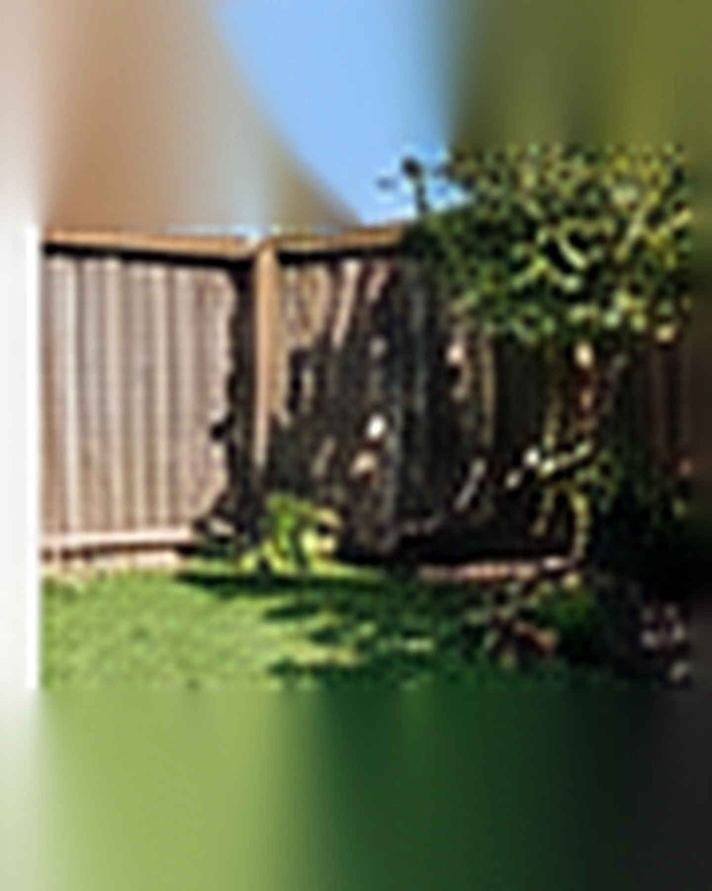 Before transformation: No Privacy to Secluded Backyard Retreat: Build Privacy in Layers