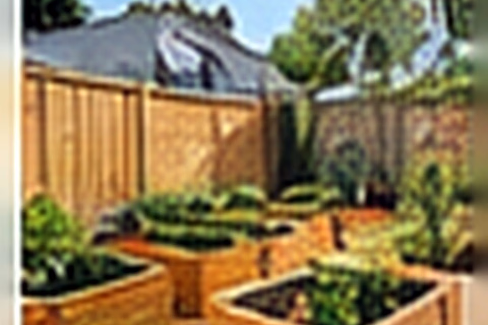 Bare Soil to Raised Garden Beds: Build a Productive Growing Layout