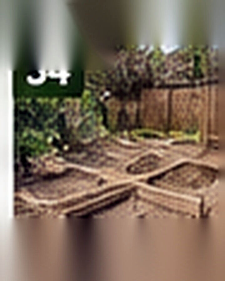 Before transformation: Bare Soil to Raised Garden Beds: Build a Productive Growing Layout