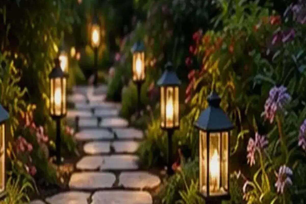 How to Start a Chaos Garden Without Losing Control of Your Yard