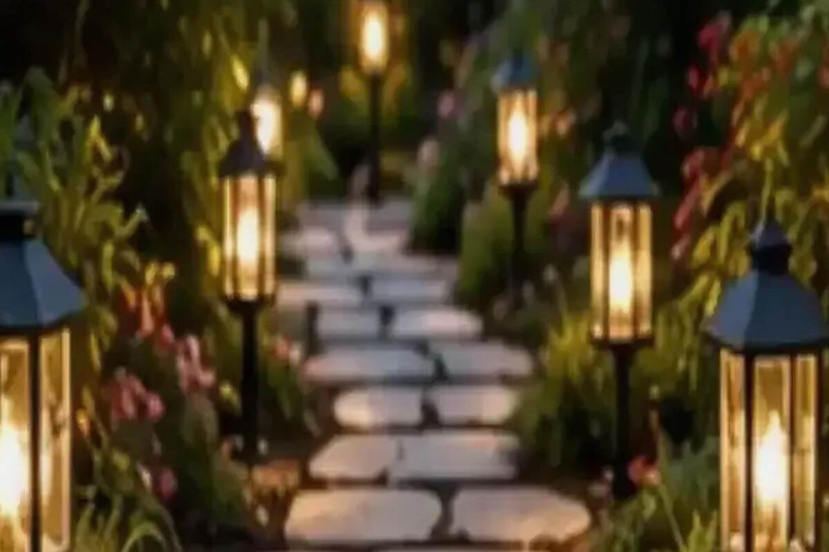 Coral Bells in a Shade Garden: Placement, Water, and Color Without Overworking the Bed