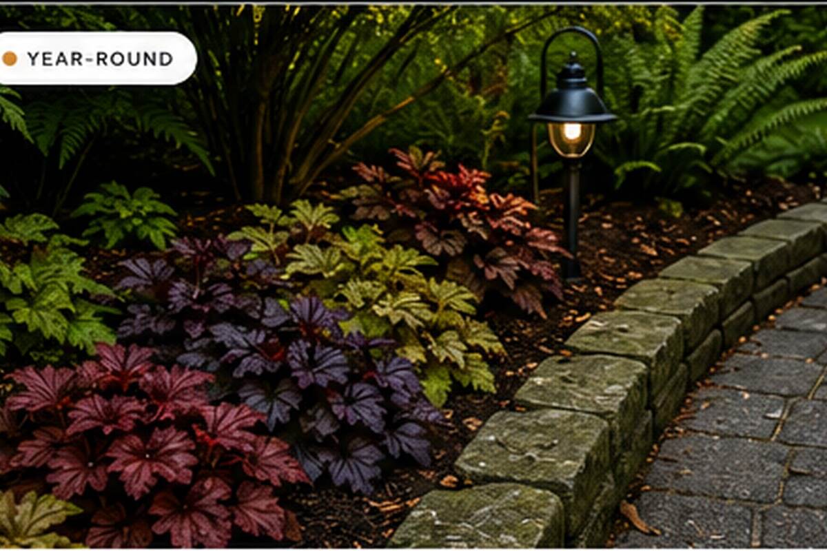 Coral Bells in a Shade Garden: Placement, Water, and Color Without Overworking the Bed