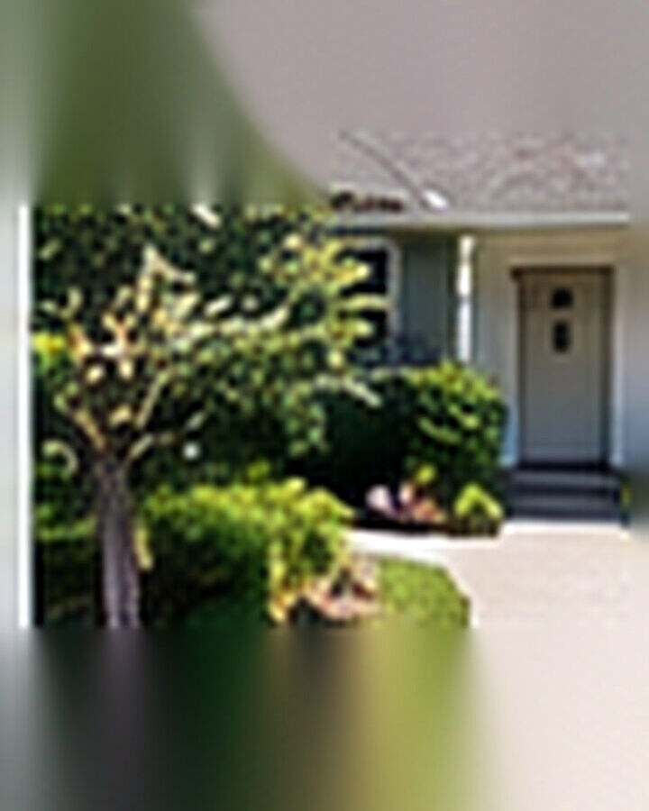 Before transformation: Curb Appeal Transformation With Simple Landscaping That Looks Expensive