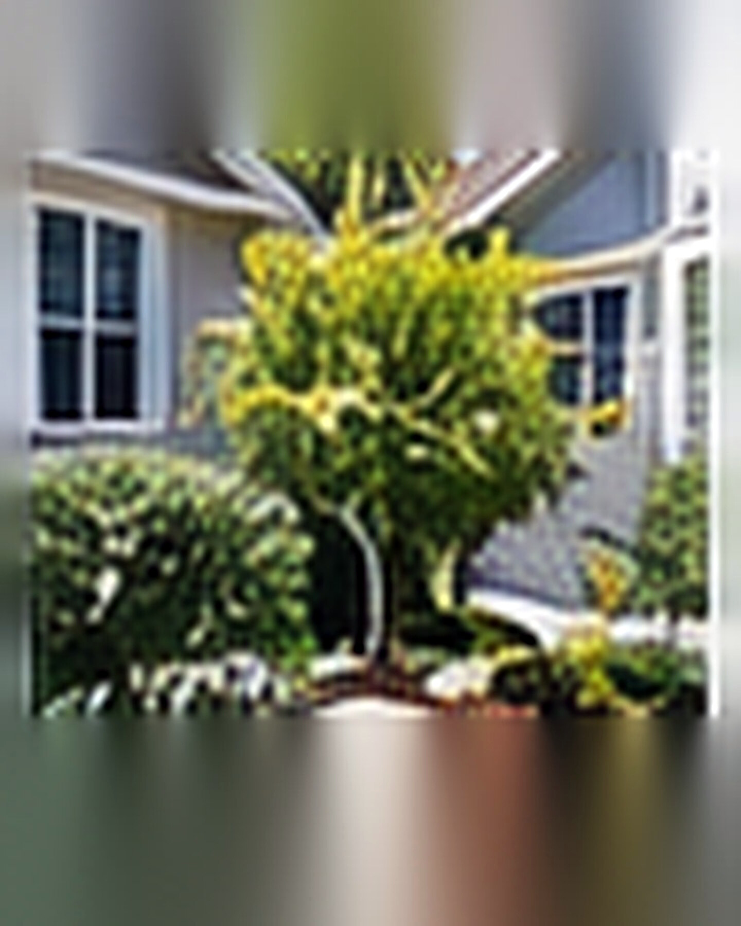 After transformation: Curb Appeal Transformation With Simple Landscaping That Looks Expensive