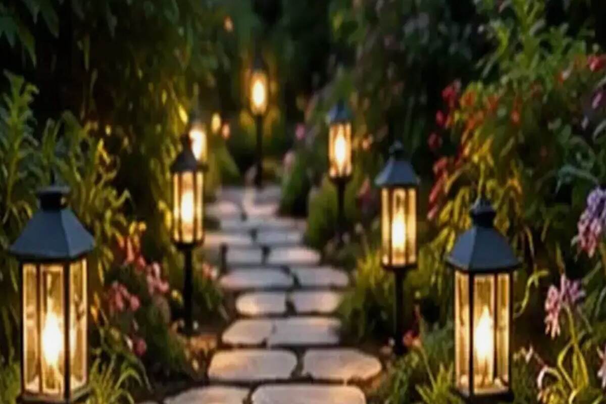 Drought-Tolerant Lawn Alternatives for Hot, Dry Yards: Where Grass Stops Making Sense