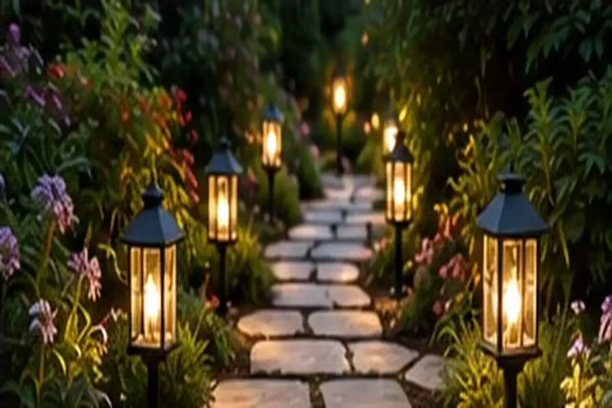How to Transition a Dry Lawn Edge to Groundcover Without Making the Yard Look Patchy