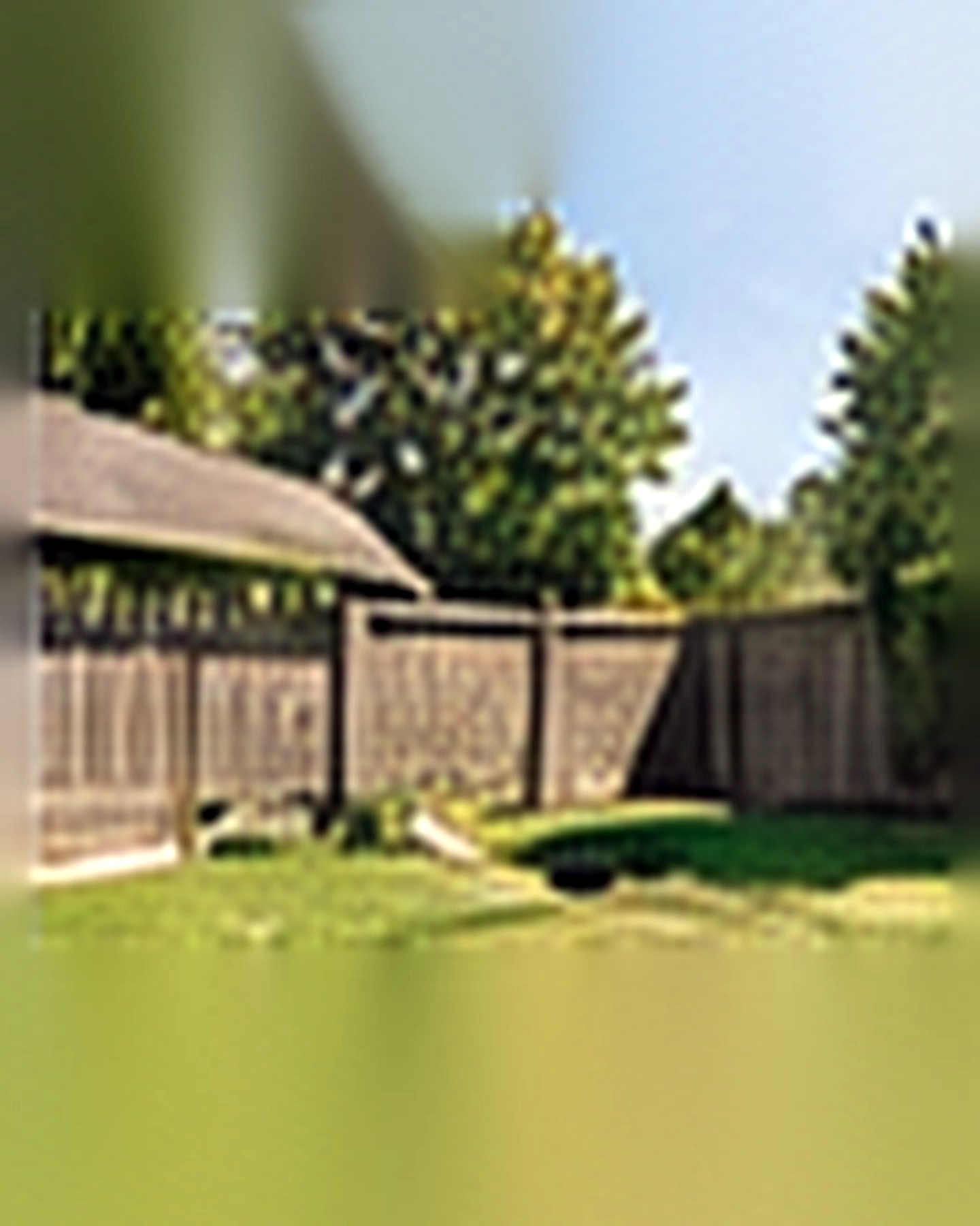 Before transformation: Dull Yard to Family-Friendly Oasis: Add Function Without Losing Green Space