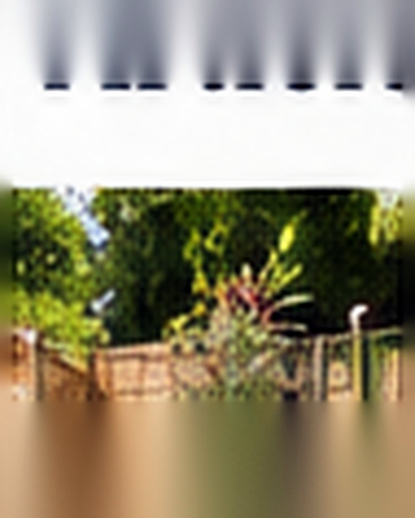 Small Backyard Oasis after its home and garden update