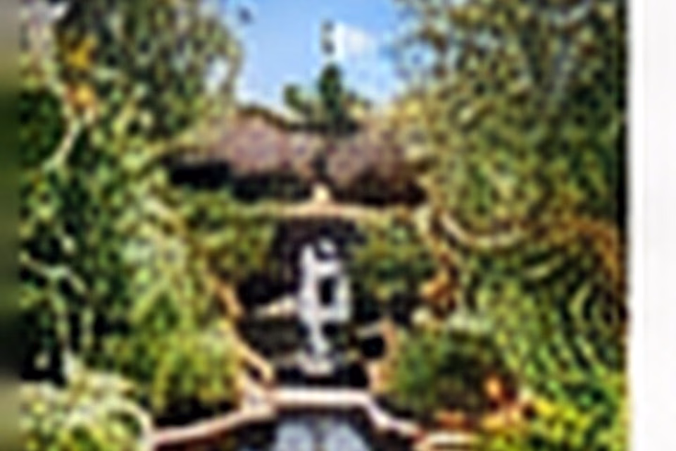 Empty Corner to Tranquil Water Feature: Create a Calm Focal Point