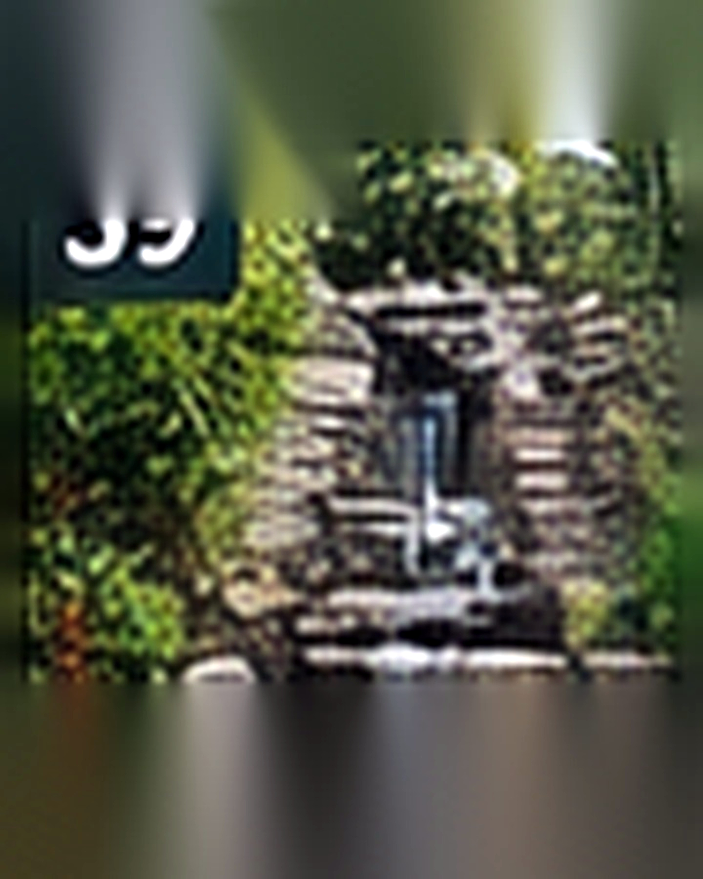 Before transformation: Empty Corner to Tranquil Water Feature: Create a Calm Focal Point