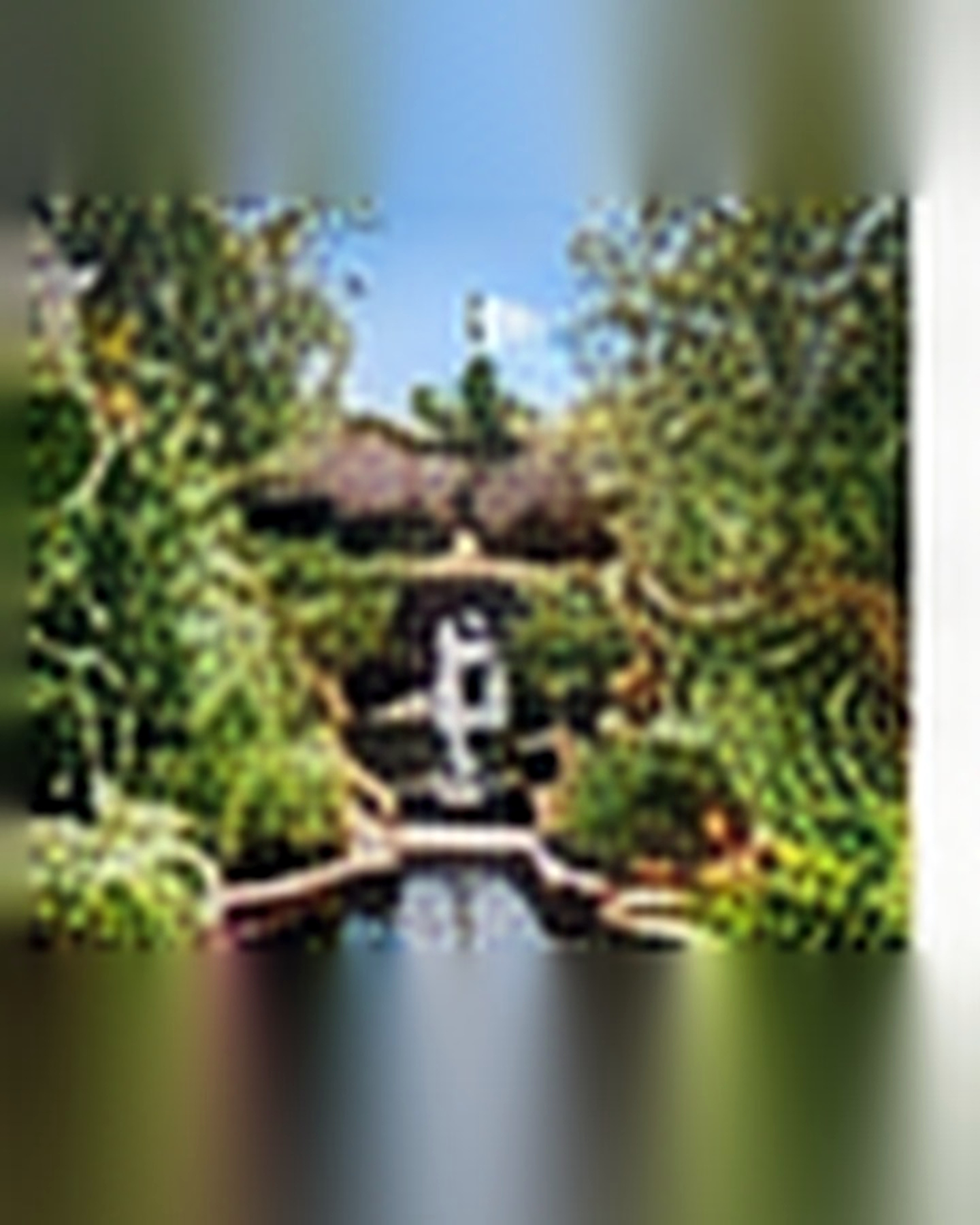 After transformation: Empty Corner to Tranquil Water Feature: Create a Calm Focal Point