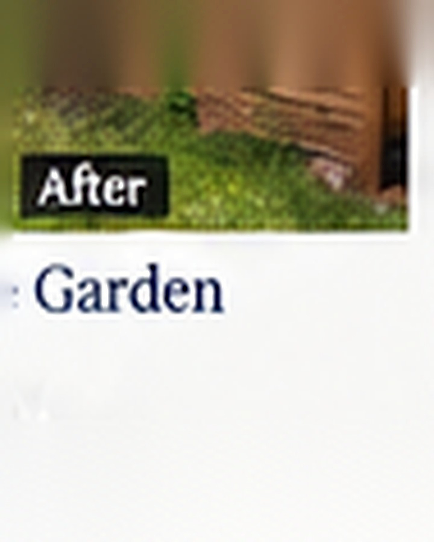 Vegetable Garden after its home and garden update