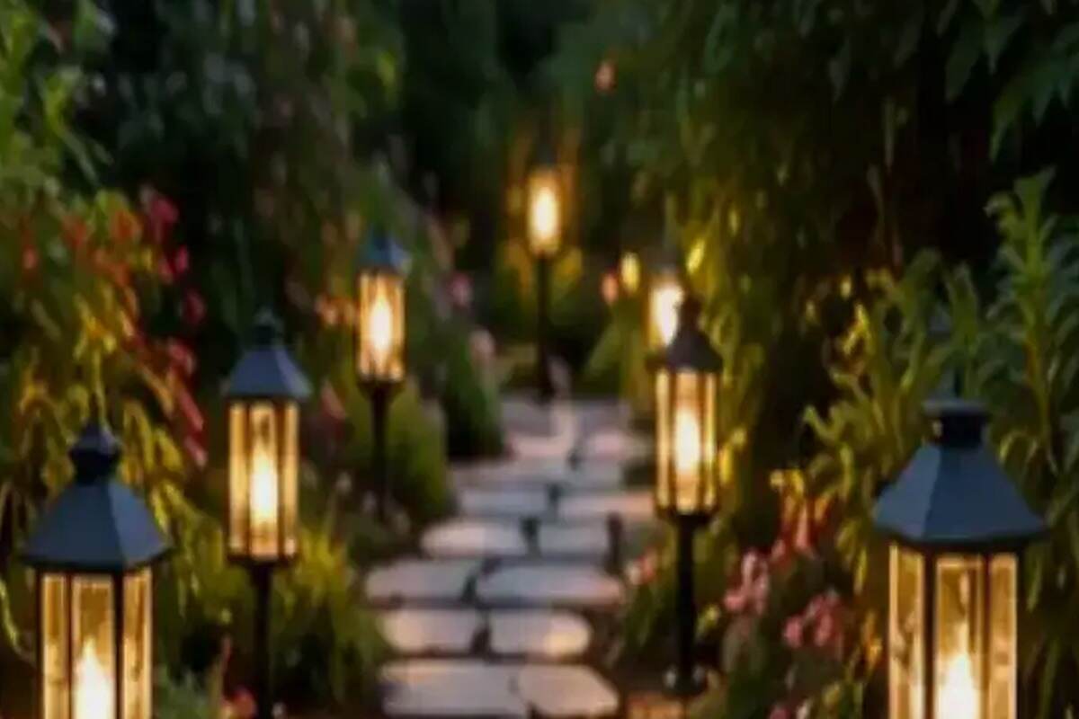 Frogfruit Groundcover Garden Edge: A Low-Growing Pollinator Strip