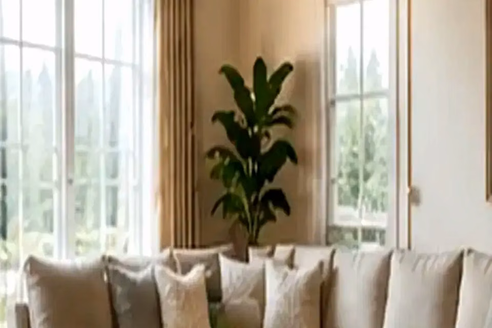 How to Hide Utility Boxes With Simple Landscape Design