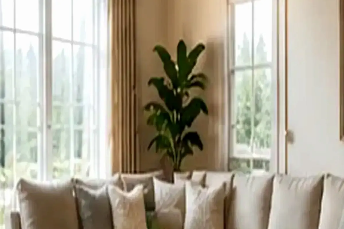 How to Hide Utility Boxes With Simple Landscape Design