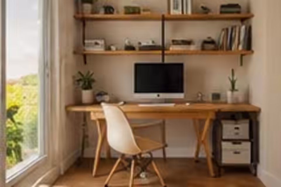 Houseplant Care 101: The Beginner's Guide to Not Killing Your Plants