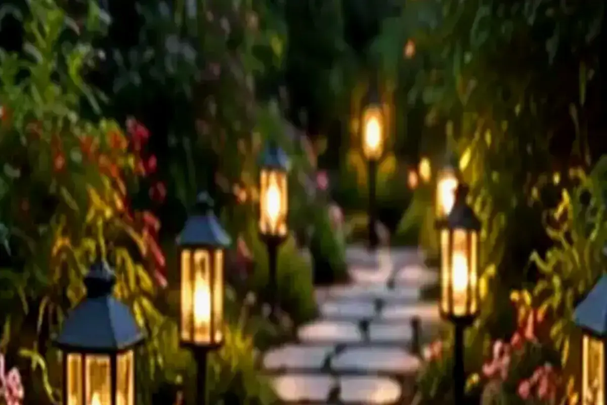Houseplants That Keep a Home Green When the Outdoor Garden Fades