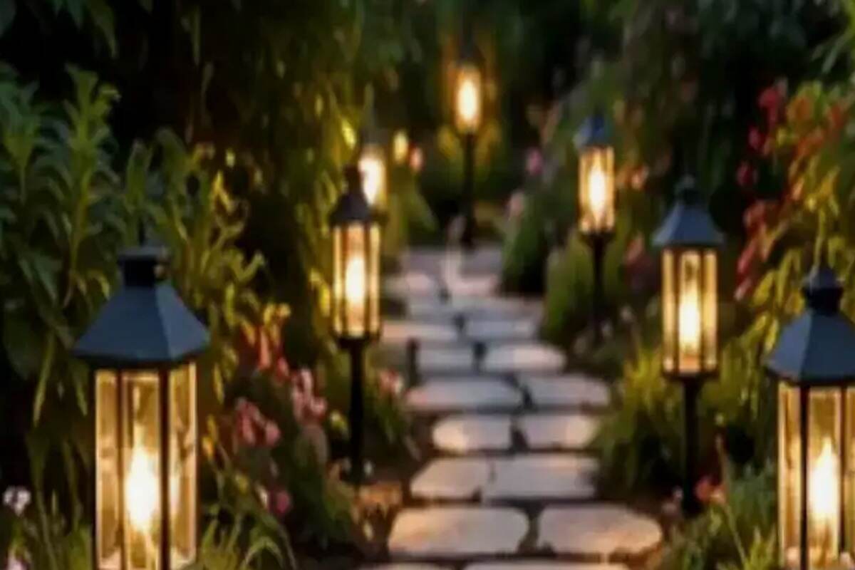 Five Late-Summer Garden Tasks That Make Fall Easier