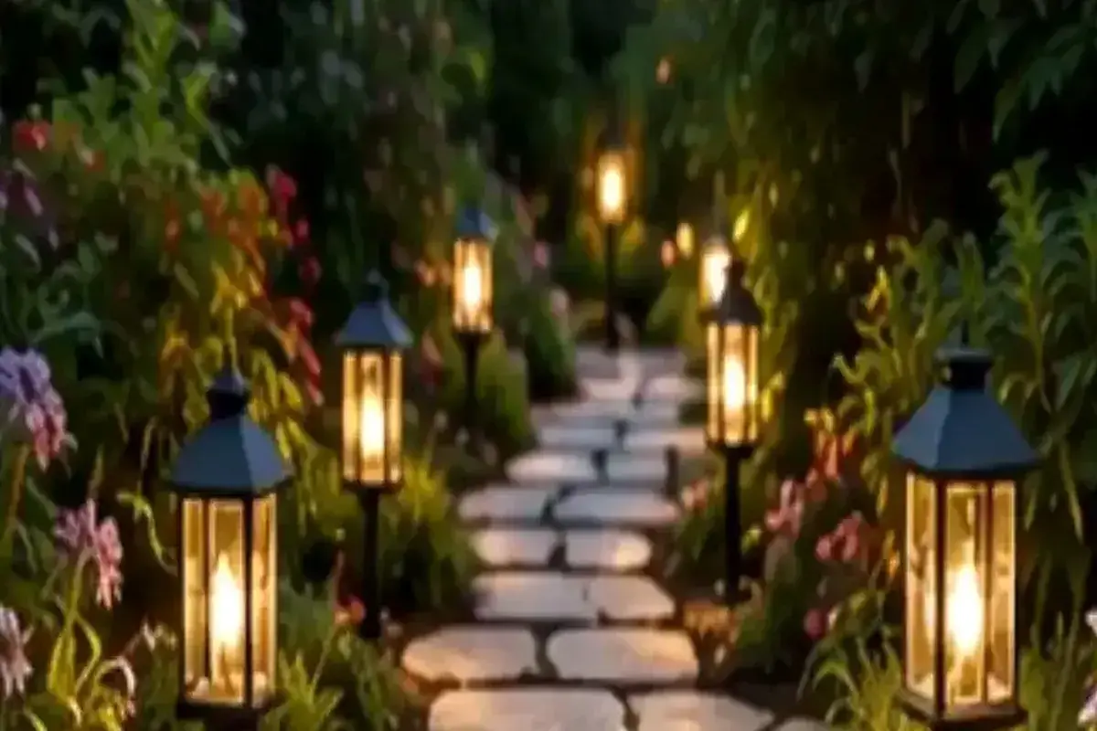 Native Plants Garden: A Beginner’s Guide to Building a More Resilient Yard