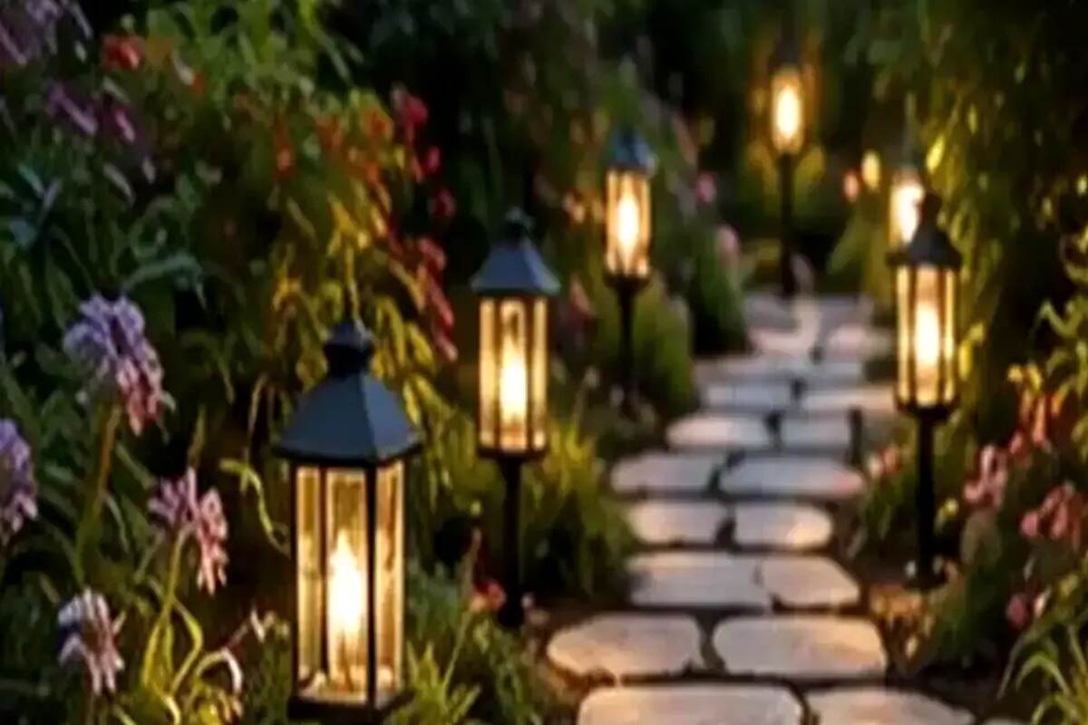 Native Plants and Xeriscaping: A Water-Wise Garden That Still Looks Good
