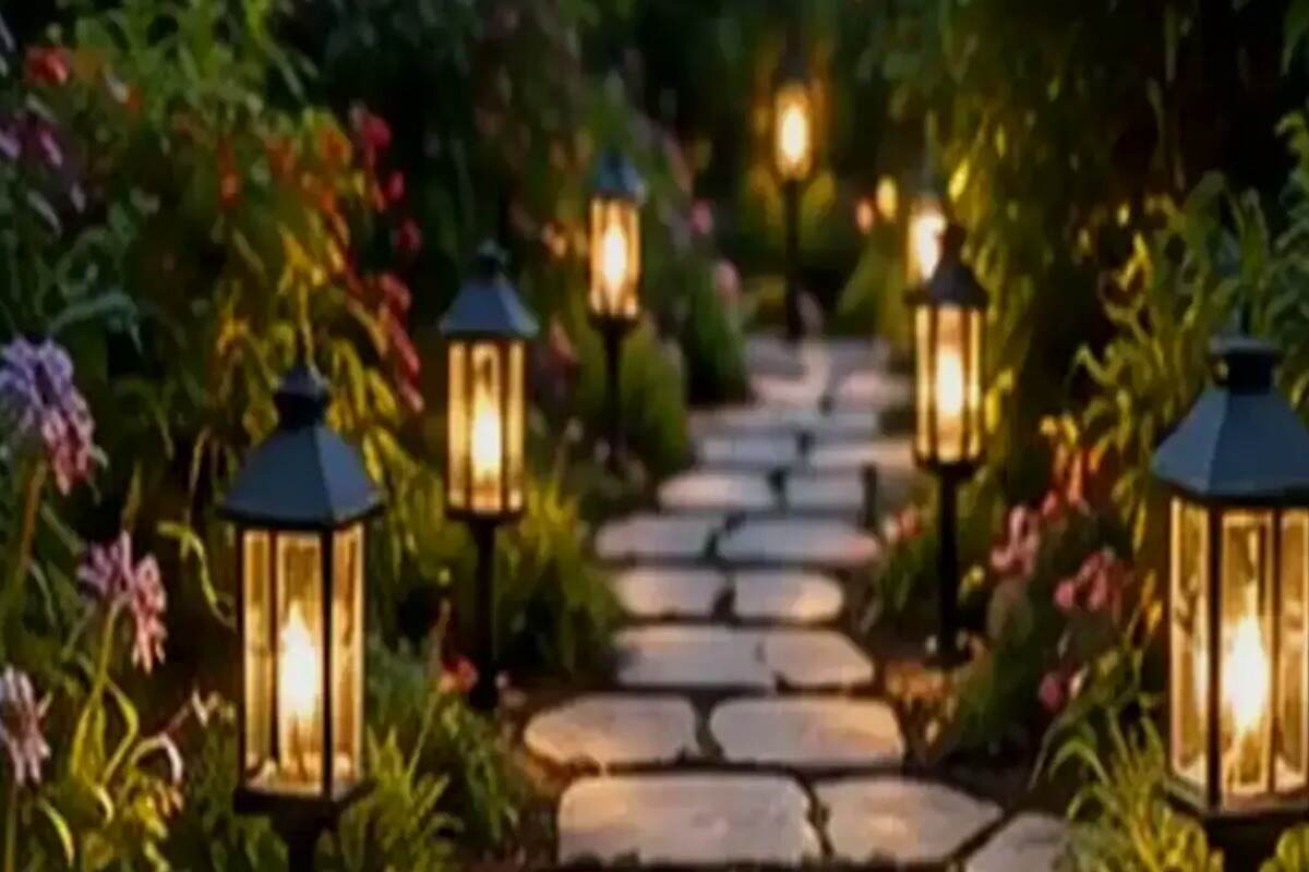 Native Plants and Xeriscaping: A Water-Wise Garden That Still Looks Good