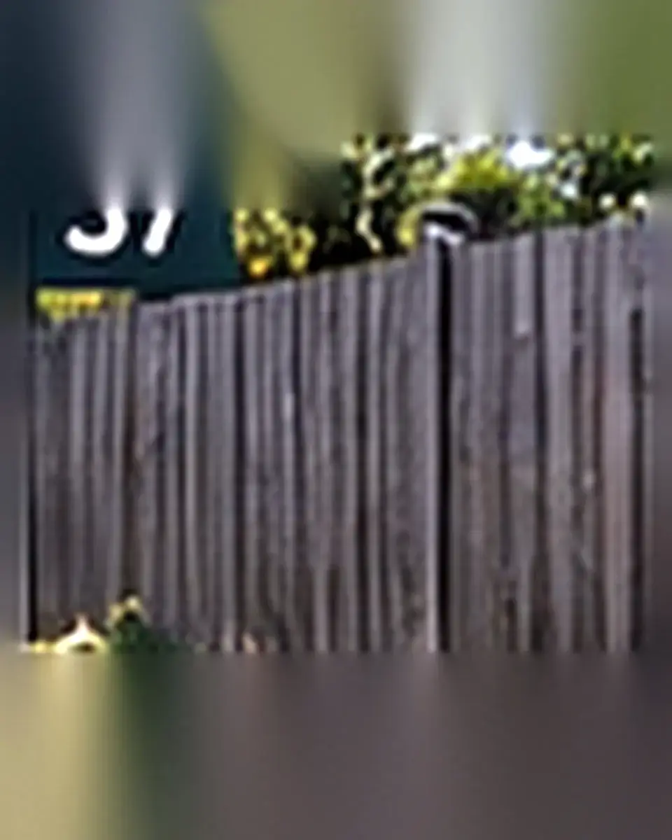A residential backyard with an exposed chain-link fence and sparse planting