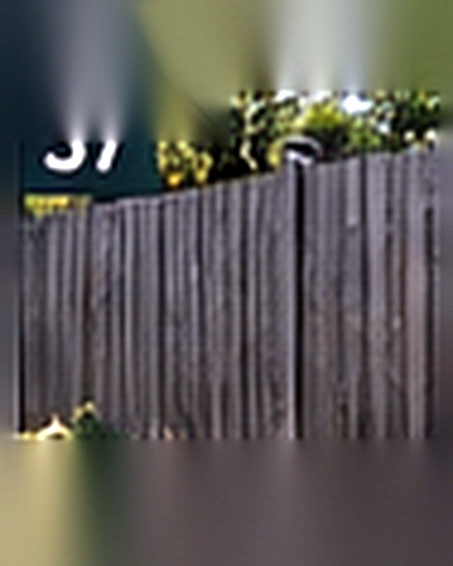 Before transformation: Old Fence to Modern Privacy Fence: A Layered Upgrade for the Backyard