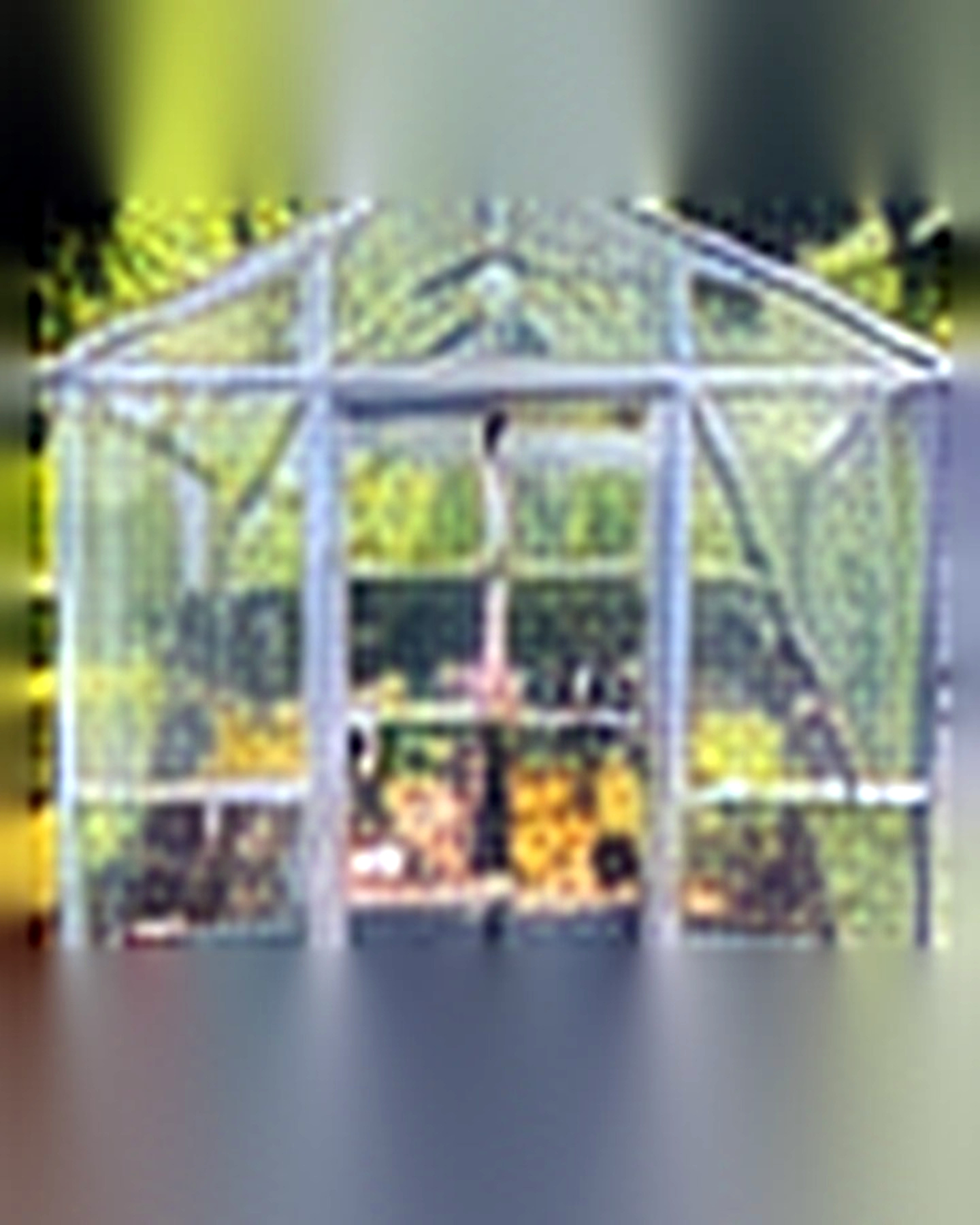 Greenhouse Setup after its home and garden update