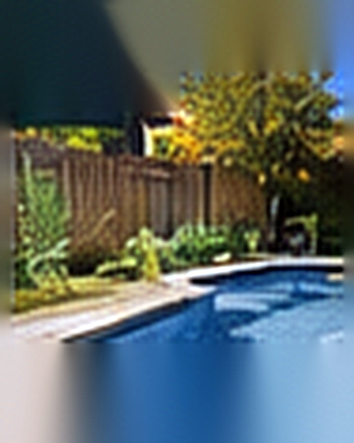 Before transformation: Outdated Pool Area to Resort-Style Retreat: A Cleaner Outdoor Plan
