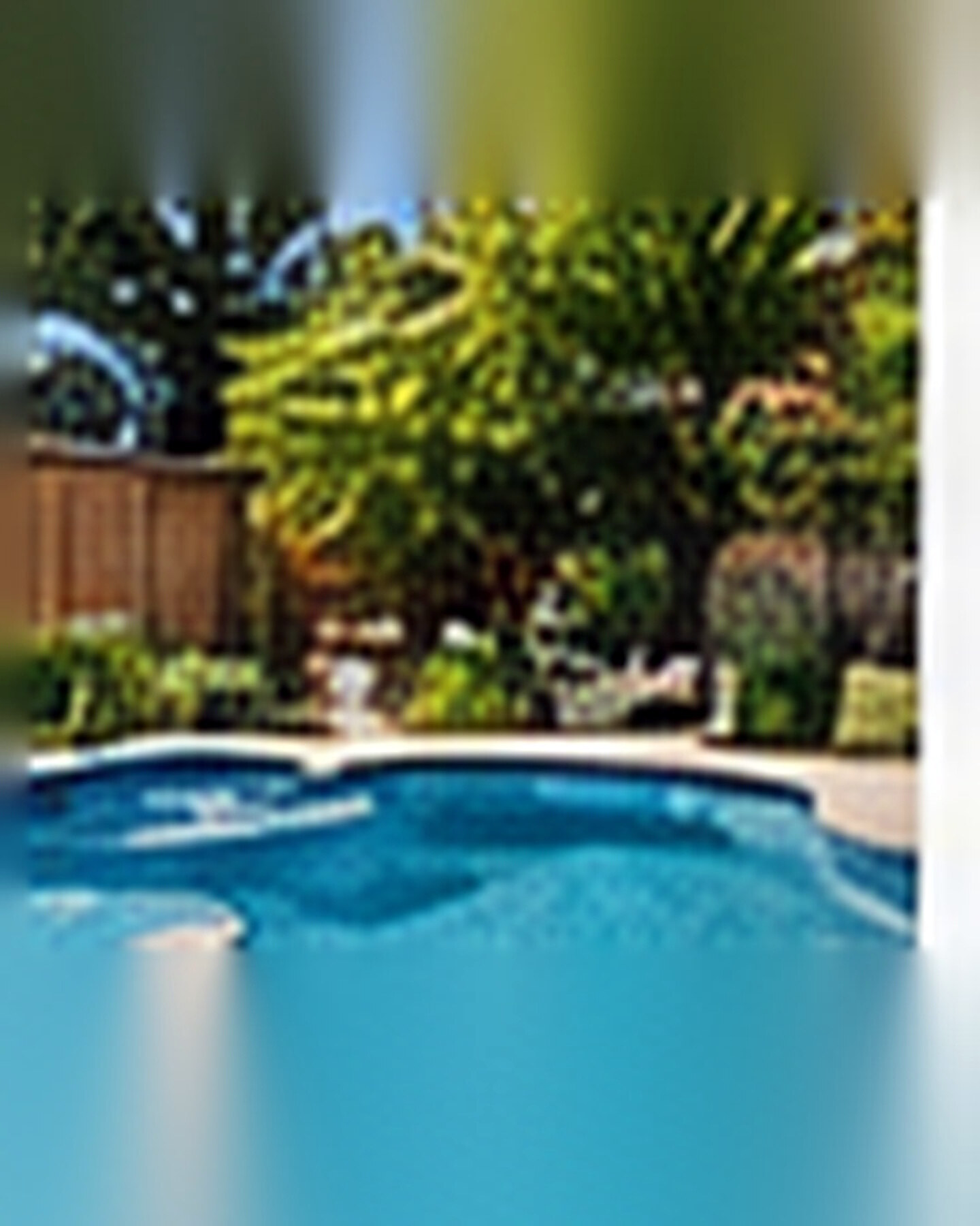 After transformation: Outdated Pool Area to Resort-Style Retreat: A Cleaner Outdoor Plan