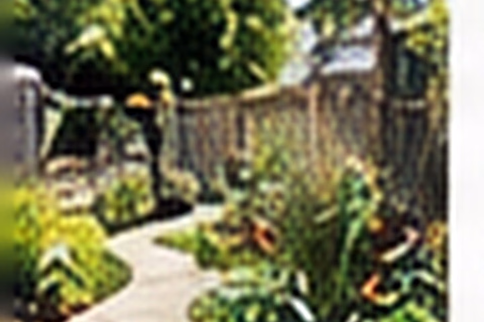 Overgrown Garden to Clean, Beautiful Design: Edit First, Then Replant