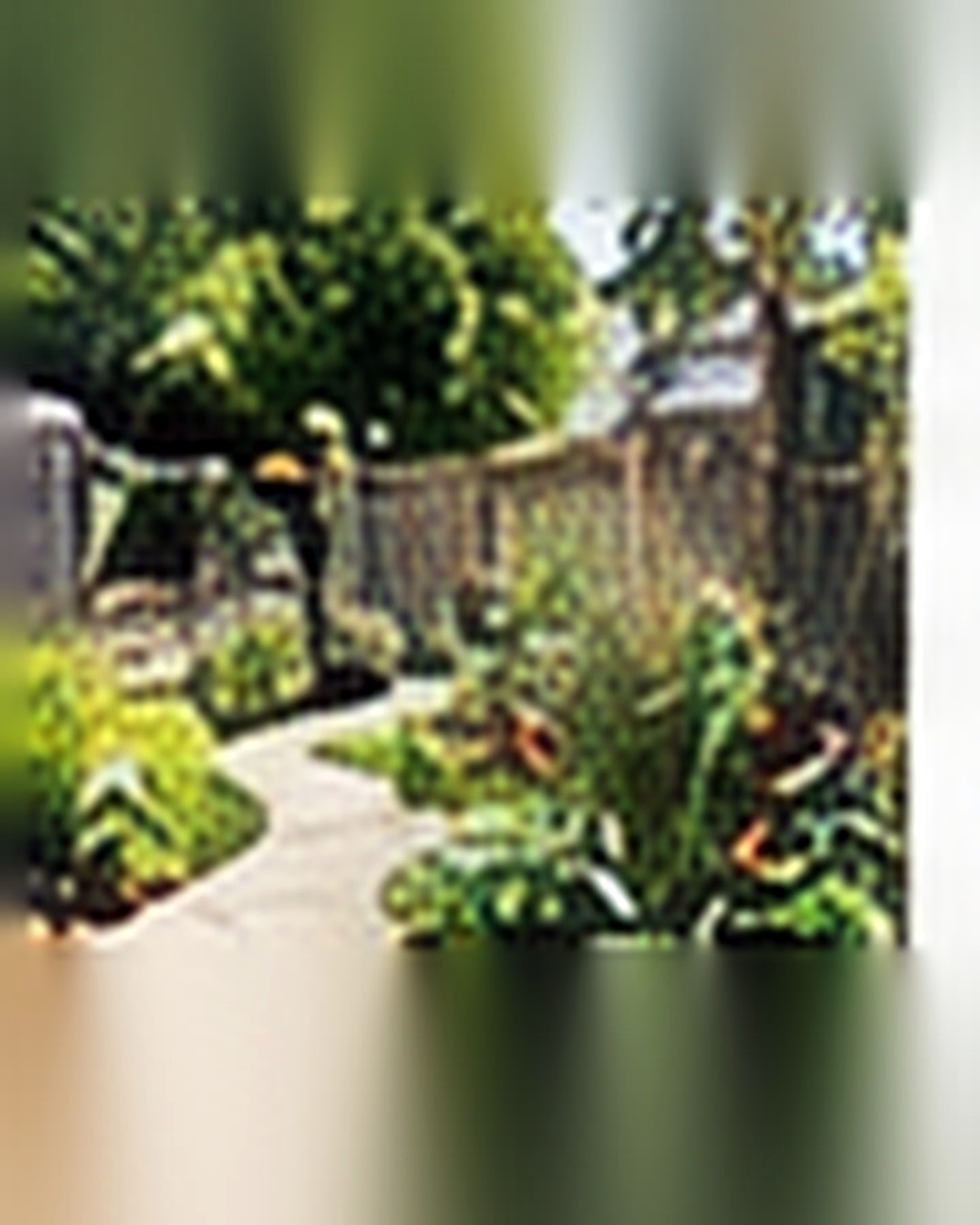 After transformation: Overgrown Garden to Clean, Beautiful Design: Edit First, Then Replant