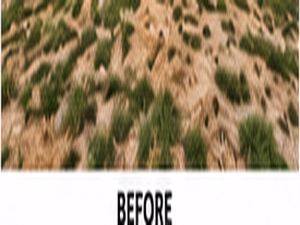 A patchy residential lawn with thin grass and exposed soil