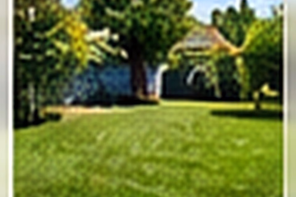 From Patchy Lawn to Lush Green Grass: A Practical Early-Fall Reset