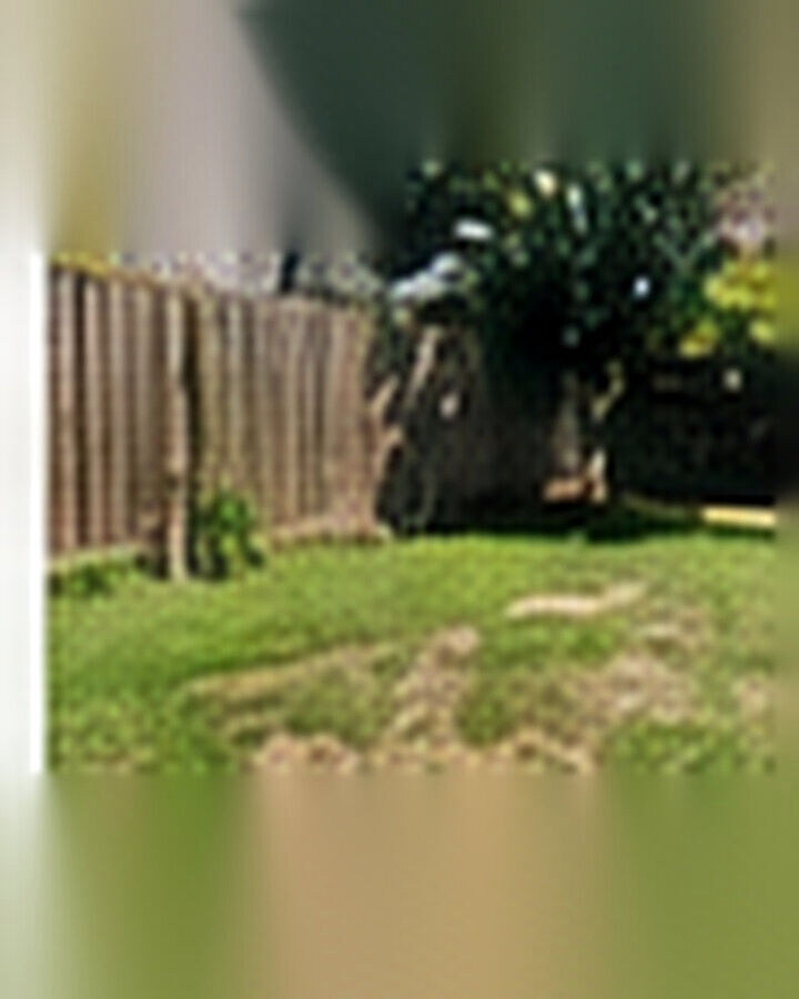 Before transformation: From Patchy Lawn to Lush Green Grass: A Practical Early-Fall Reset