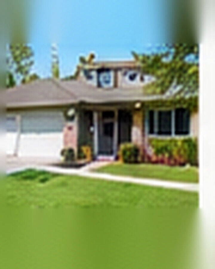 Lawn Renovation after its home and garden update