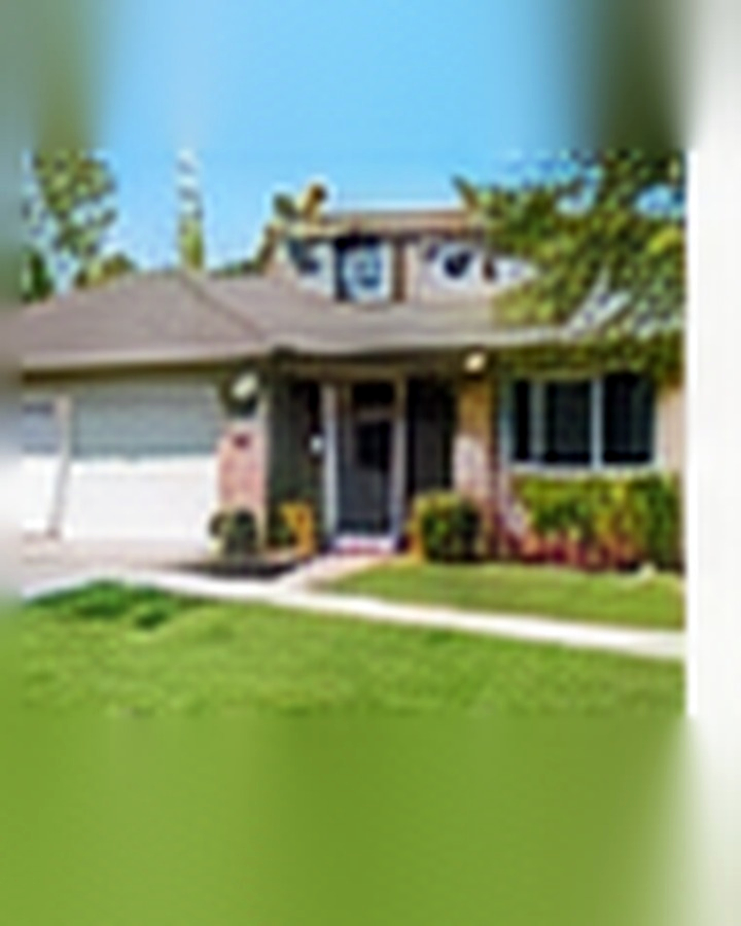 Lawn Renovation after its home and garden update