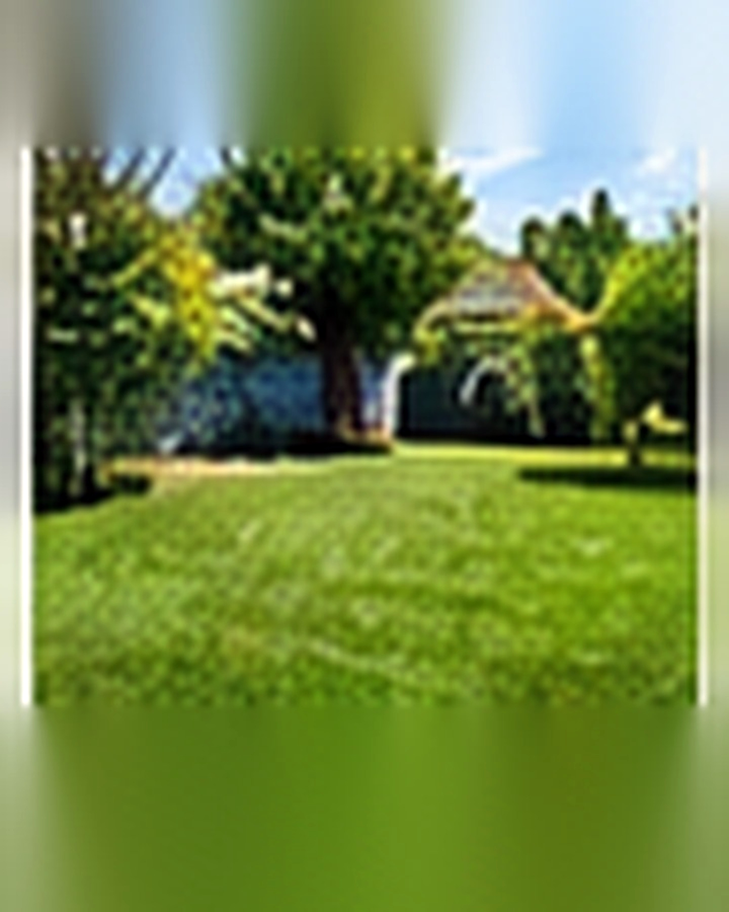 After transformation: From Patchy Lawn to Lush Green Grass: A Practical Early-Fall Reset
