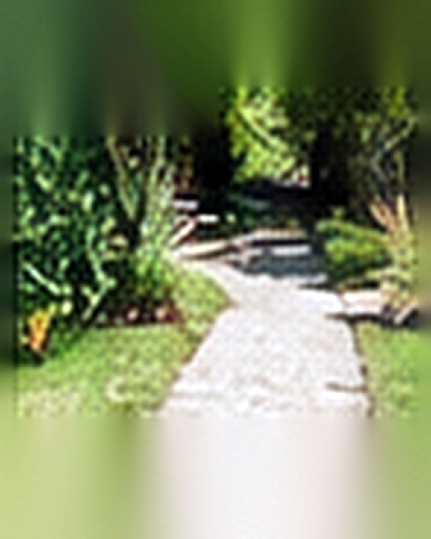 Before transformation: Plain Walkway to Charming Garden Path: Improve Arrival and Flow