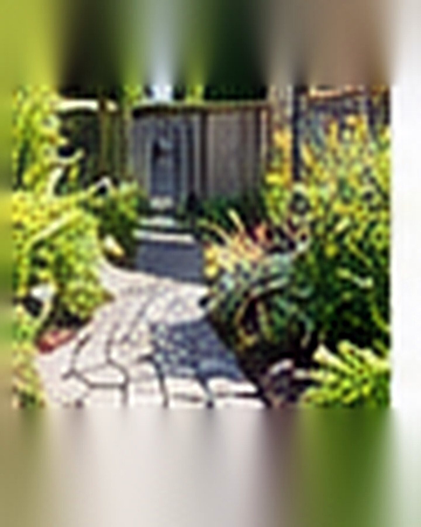 After transformation: Plain Walkway to Charming Garden Path: Improve Arrival and Flow