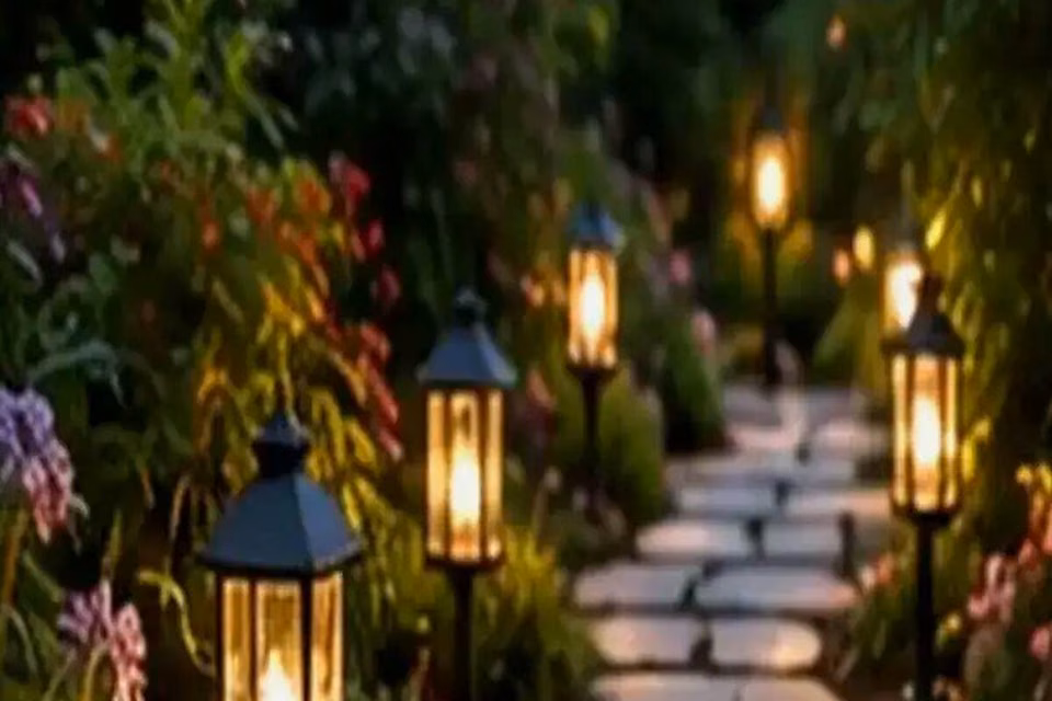 Plant Kit or DIY Supplies? How to Start a Simple Home Garden