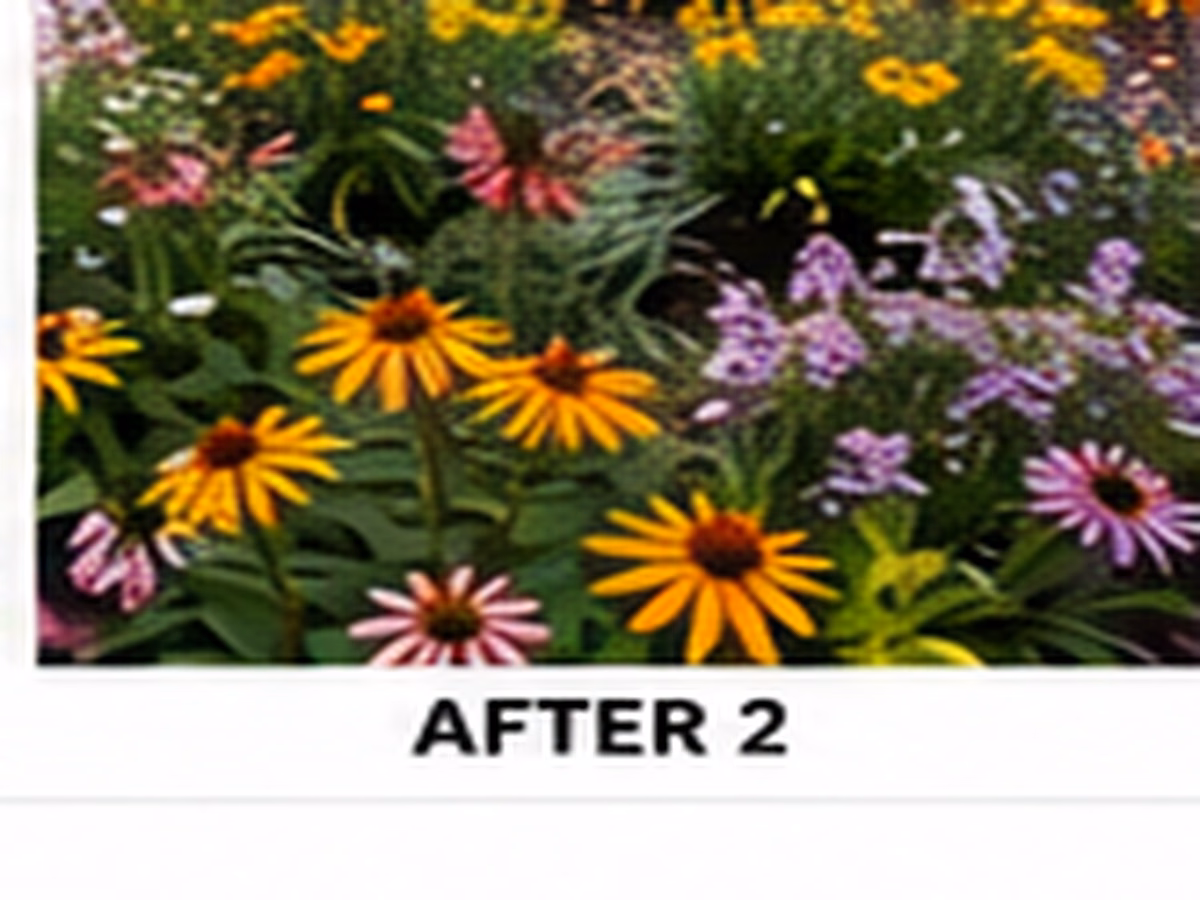 Close detail of pollinator-friendly flowers with varied heights and bloom forms
