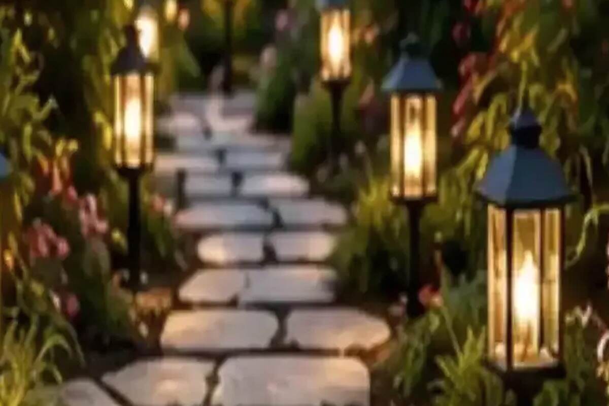 Shade Garden Planning for Woodland and North-Facing Spaces