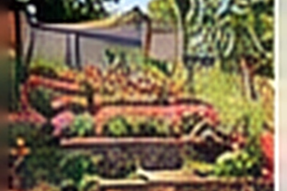 Problem Slope to Beautiful Terraced Garden: Turn Grade Into Structure
