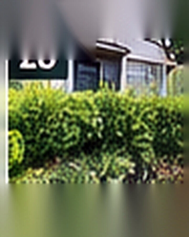 Before transformation: Problem Slope to Beautiful Terraced Garden: Turn Grade Into Structure