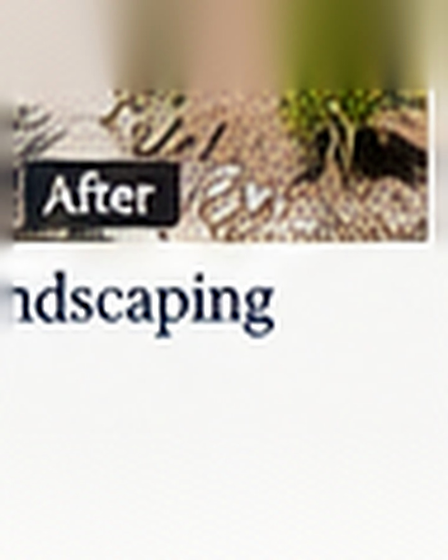 Hillside Landscaping after its home and garden update