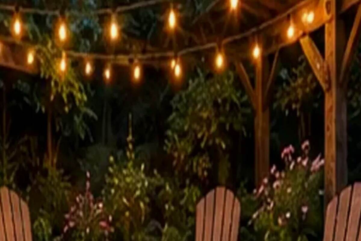 How to Turn a Small Native Garden Into a Better Wildlife Stop