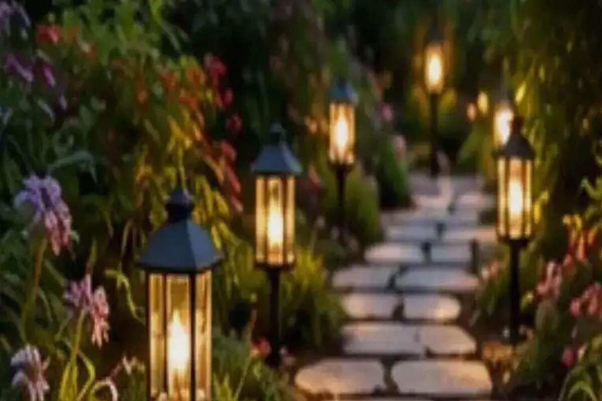 Vertical Gardening: Growing More Food and Flowers in Less Space