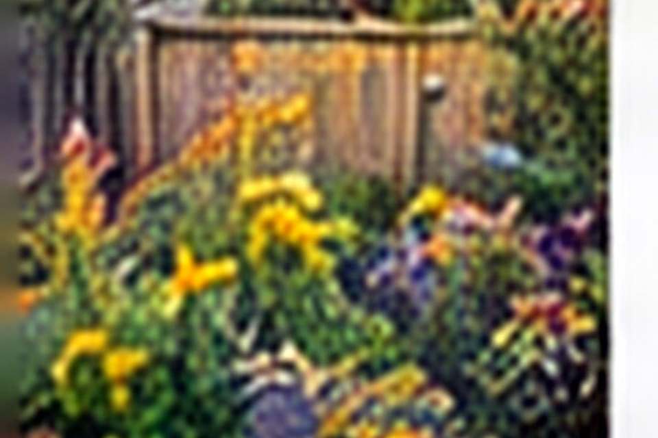 Weedy Garden Bed to Pollinator Paradise: A Layered Before-and-After Plan